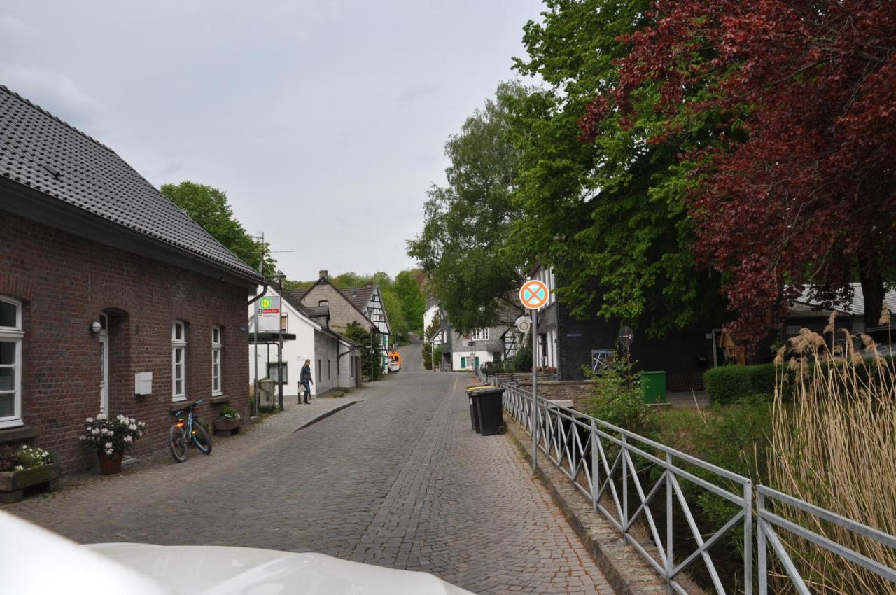 Sterner Obgruiten Haan Eksteriør billede