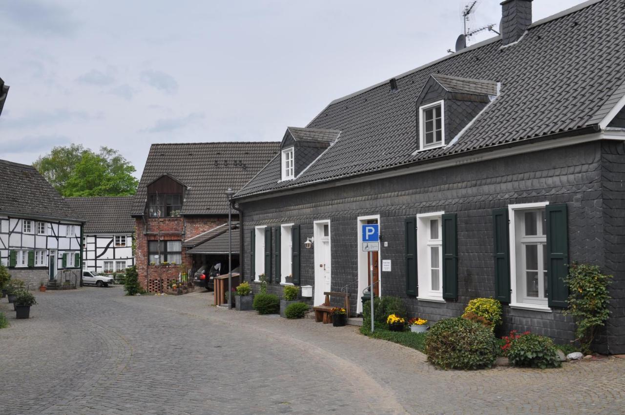 Sterner Obgruiten Haan Eksteriør billede